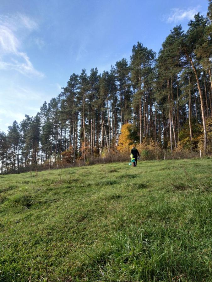 Domki Nad Jeziorem - Zalesie 7D Zalesie (Olsztyn) المظهر الخارجي الصورة