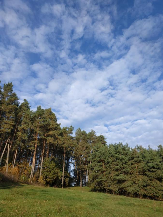 Domki Nad Jeziorem - Zalesie 7D Zalesie (Olsztyn) المظهر الخارجي الصورة